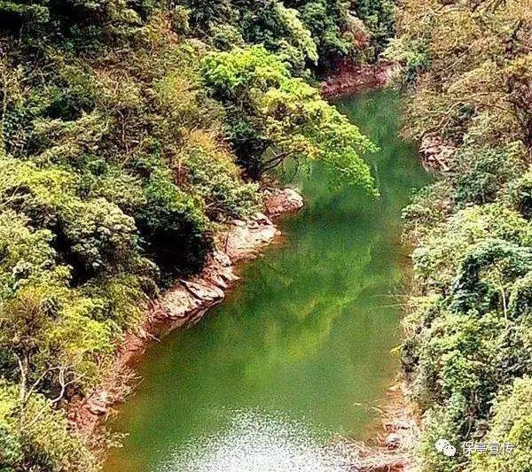 全民剧本大师内置菜单